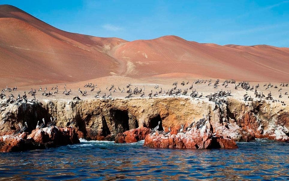 Pisco como destino turístico